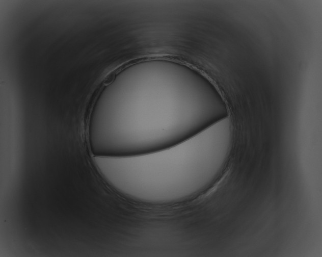 X0000101161457200806270722