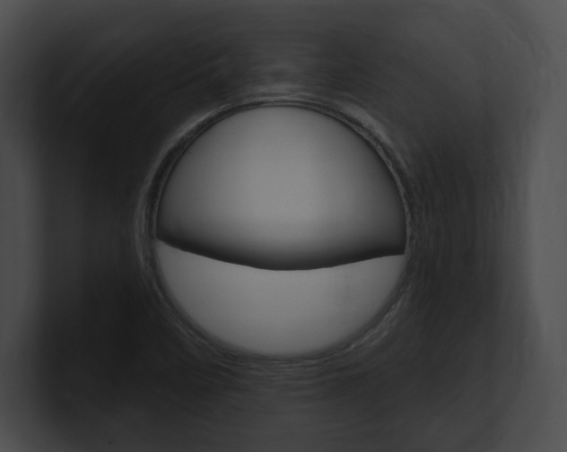 X0000101161458200806270722