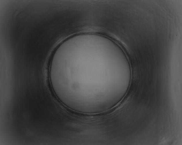 X0000101161459200806270722