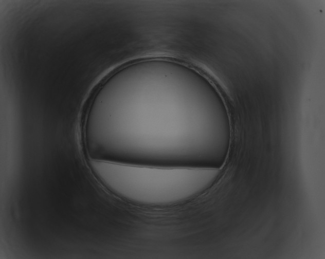 X0000101161460200806270722