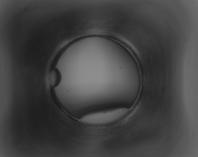 X0000101161461200806270722