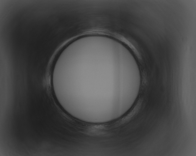 X0000101161462200806270722