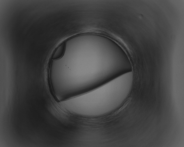 X0000101161463200806270722