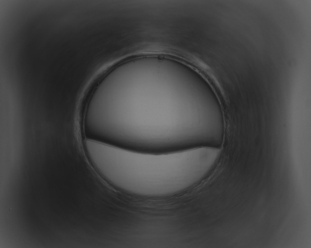 X0000101161464200806270722