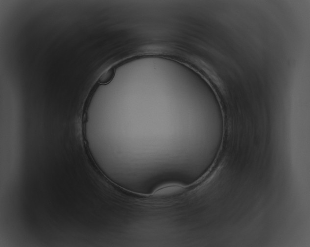 X0000101161465200806270722