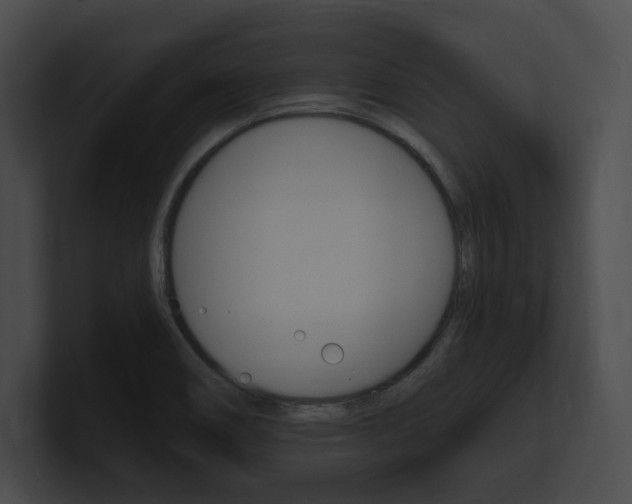 X0000101161466200806270722
