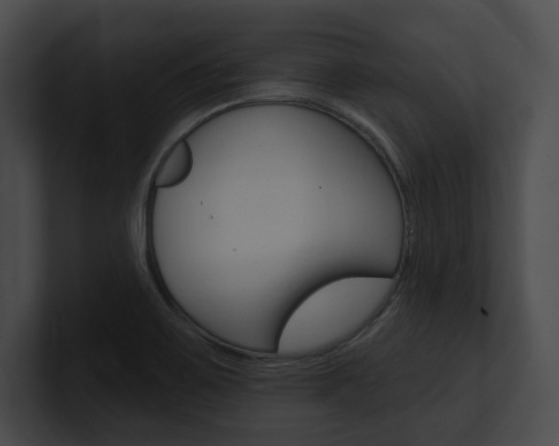 X0000101161467200806270722