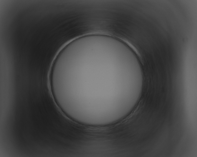 X0000101161468200806270722