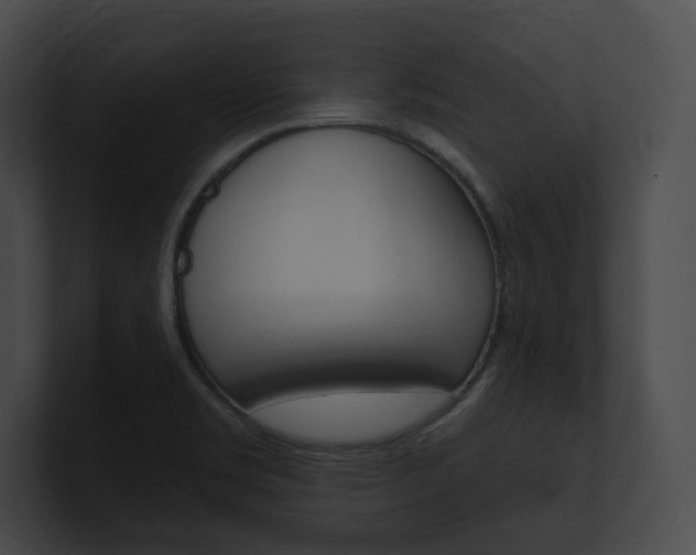 X0000101161469200806270722