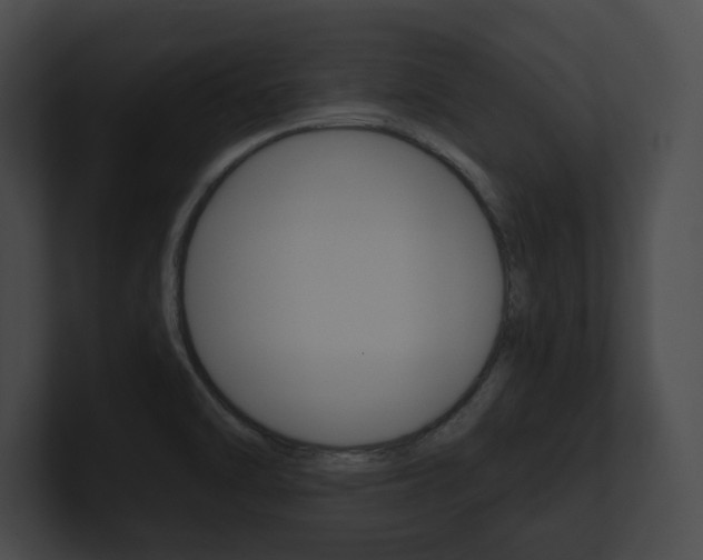 X0000101161470200806270722