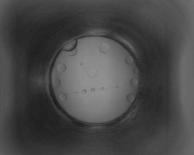 X0000101161471200806270722