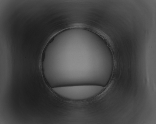 X0000101161473200806270722