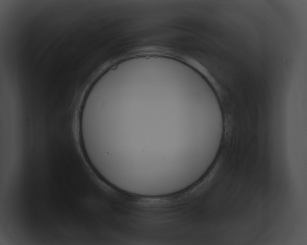 X0000101161474200806270722