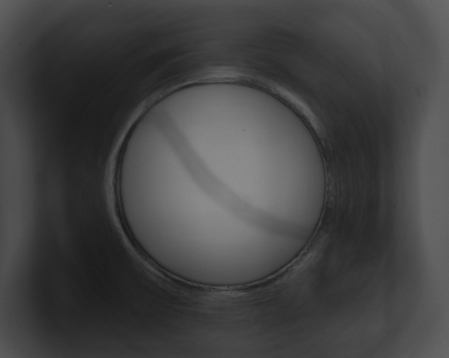 X0000101161475200806270722