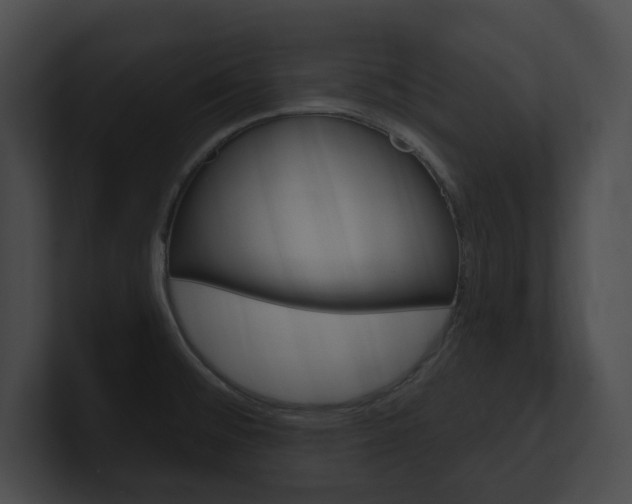 X0000101161476200806270722