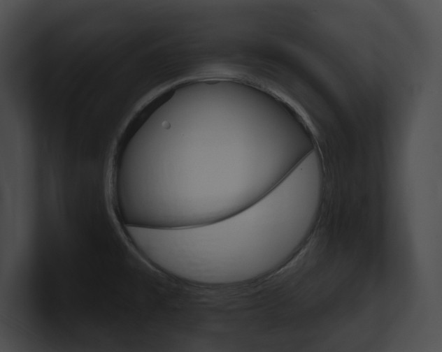 X0000101161477200806270722