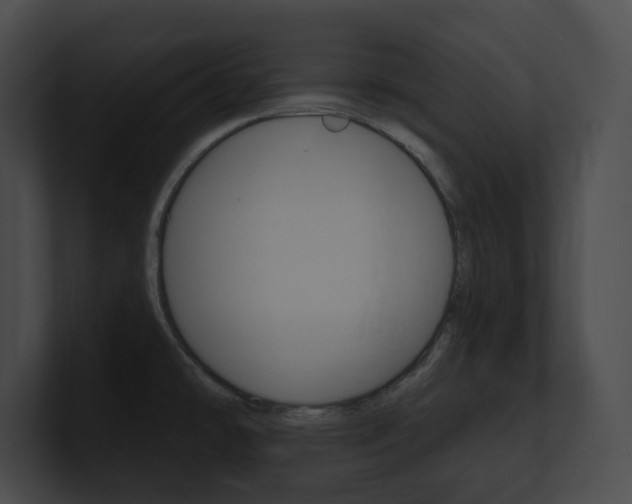 X0000101161478200806270722