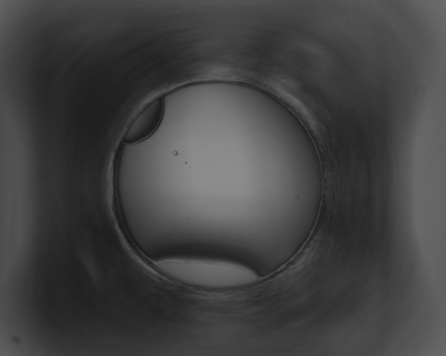 X0000101161479200806270722