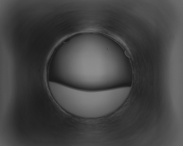 X0000101161480200806270722