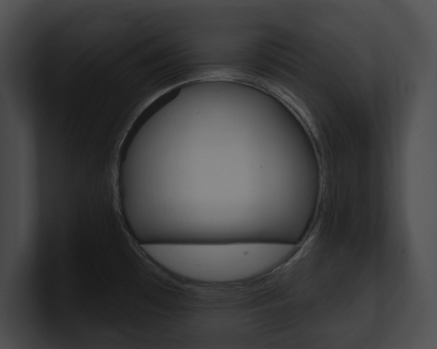X0000101161481200806270722