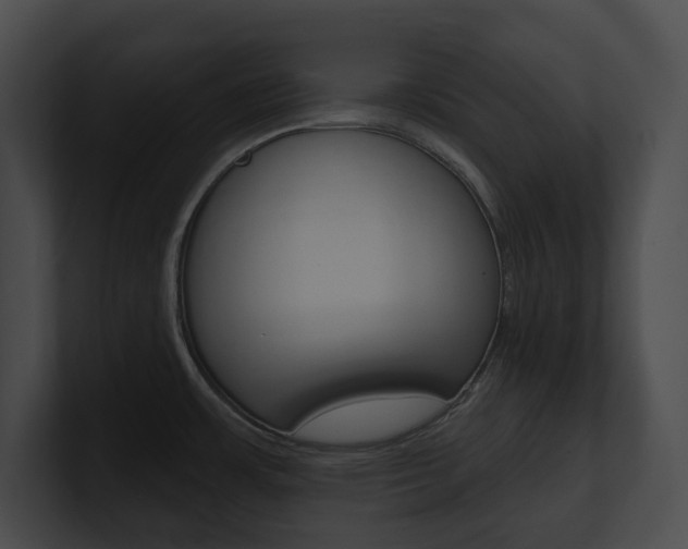 X0000101161483200806270722