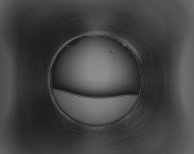 X0000101161484200806270722
