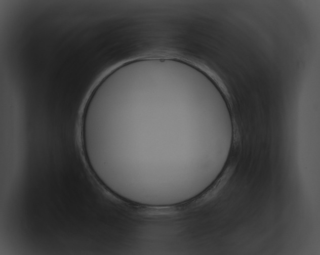 X0000101161486200806270722