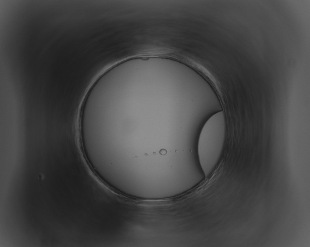 X0000101161487200806270722