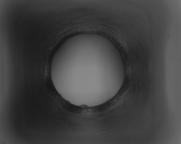 X0000101161490200806270721