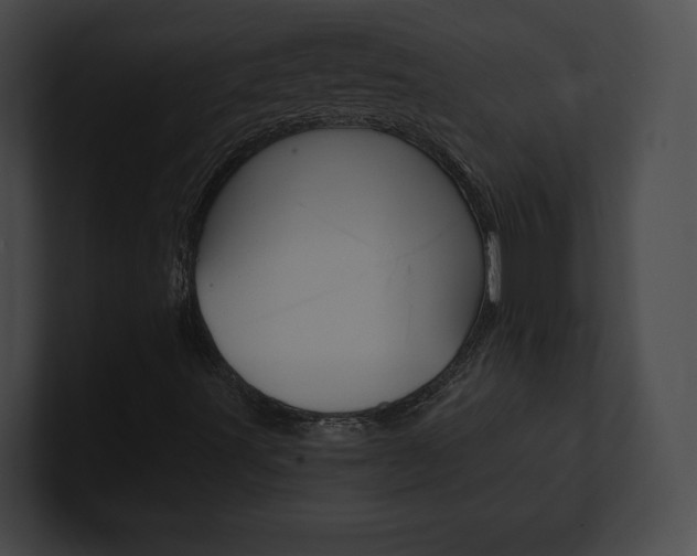 X0000101161491200806270721