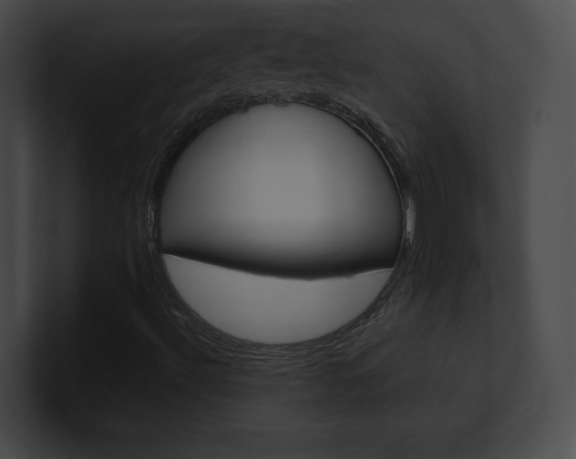 X0000101161492200806270721
