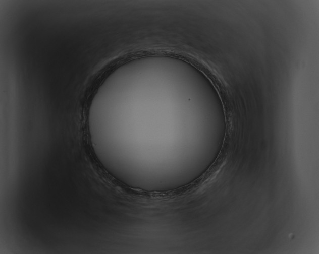 X0000101161494200806270721
