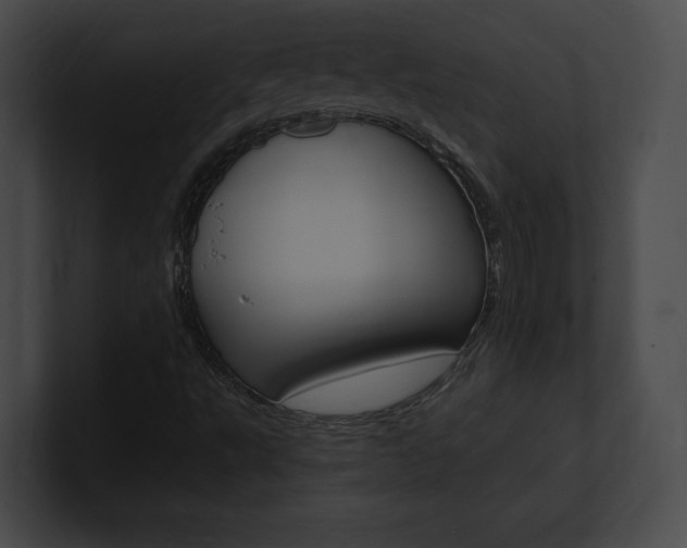 X0000101161495200806270721
