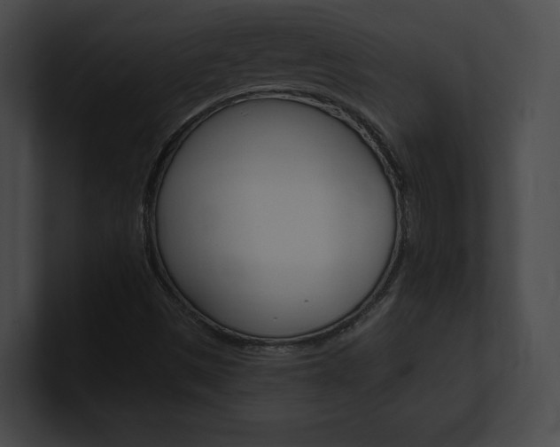 X0000101161497200806270721