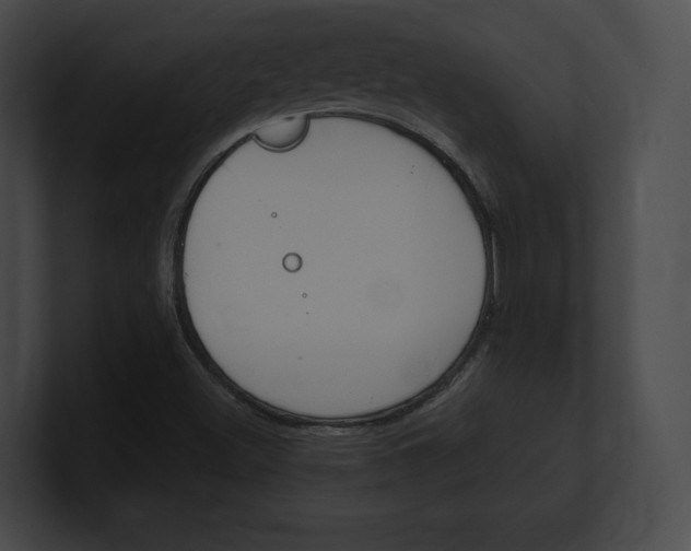 X0000101161500200806270721