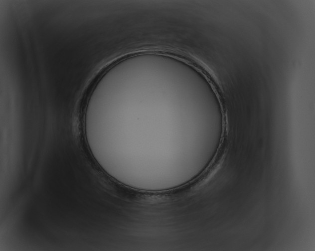 X0000101161501200806270721