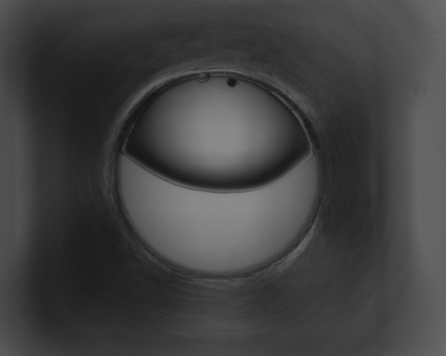 X0000101161502200806270721