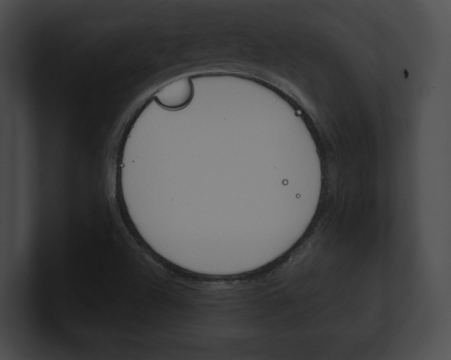 X0000101161504200806270721