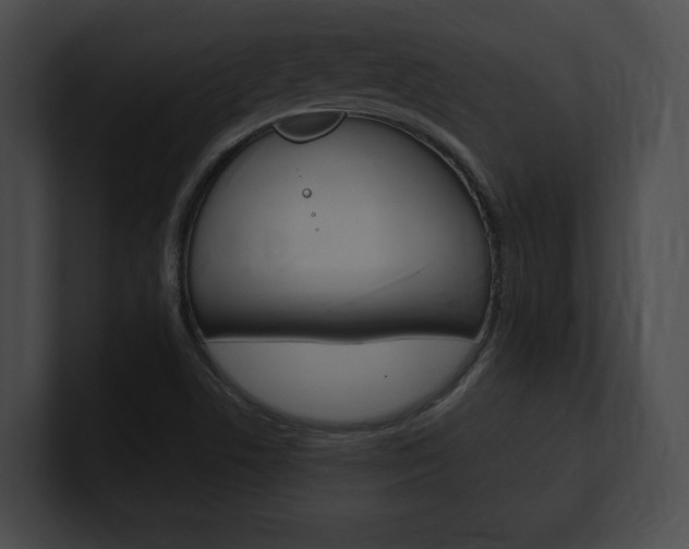 X0000101161506200806270721