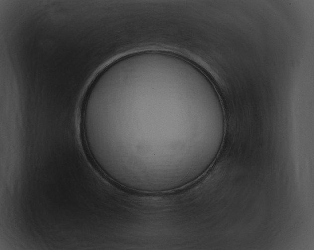 X0000101161508200806270721