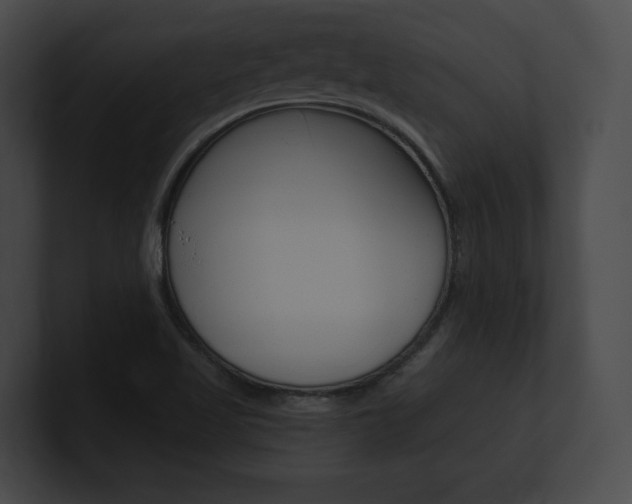 X0000101161509200806270721