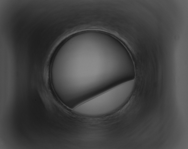 X0000101161511200806270721