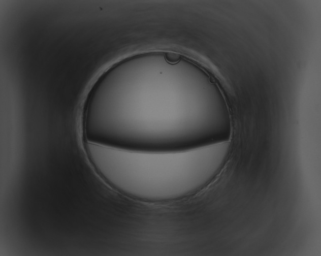 X0000101161512200806270721