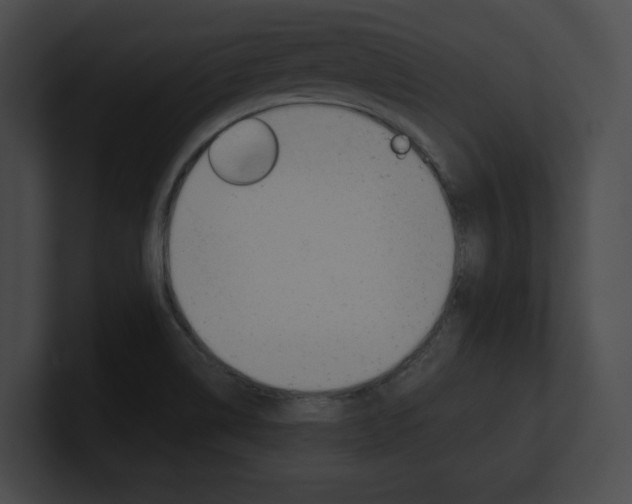 X0000101161514200806270721