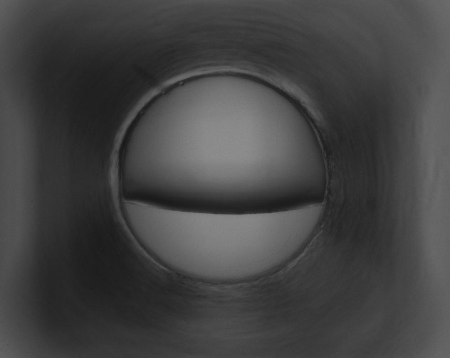 X0000101161516200806270721