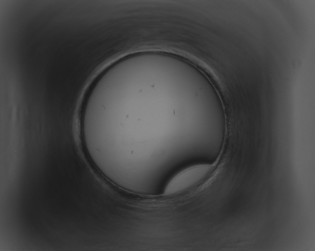 X0000101161517200806270721