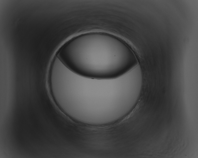 X0000101161518200806270721