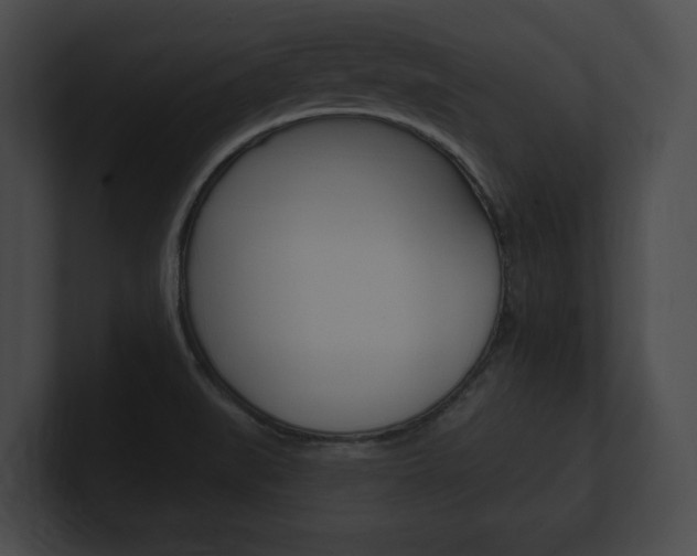 X0000101161519200806270721