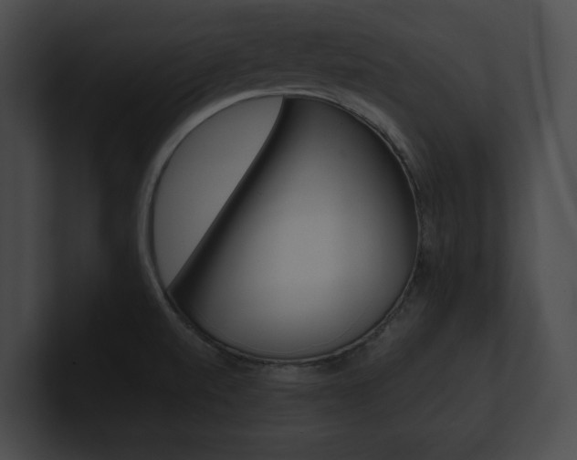 X0000101161520200806270722