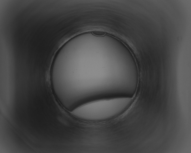 X0000101161521200806270722